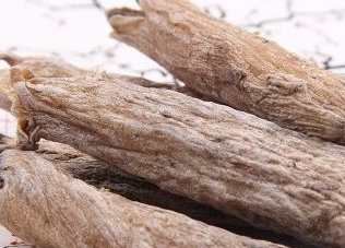 茉莉根麻醉有多厲害？中藥茉莉根麻醉的優(yōu)點(diǎn)