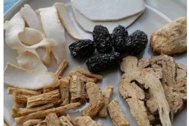 中藥方劑白術(shù)茯苓散的配方組成及白術(shù)茯苓散的功效與用法！