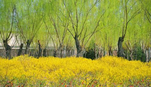 什么是立春！